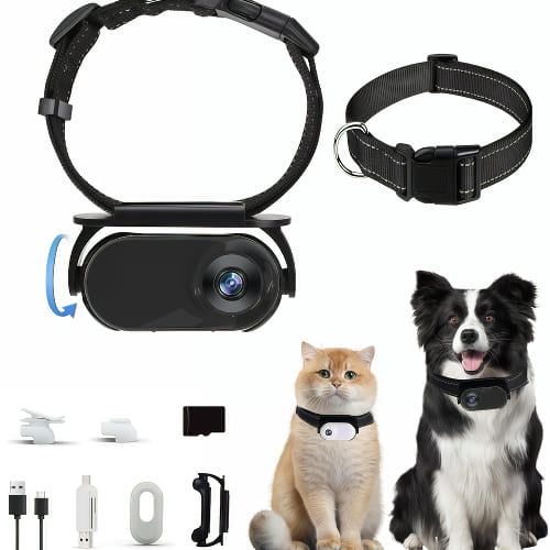 NON-WIFI 315° Adjustable Pet Camera Collar for Pet